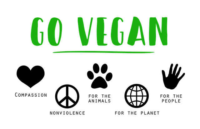 cedule go vegan